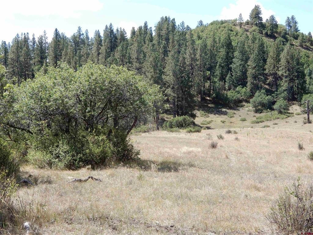 Picture 31