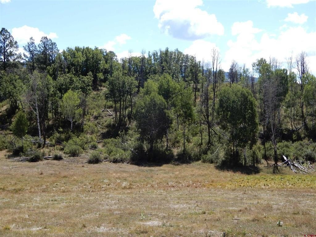 Picture 19