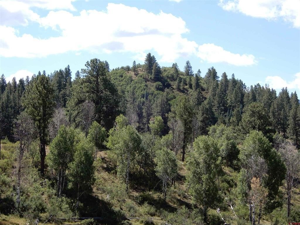 Picture 22
