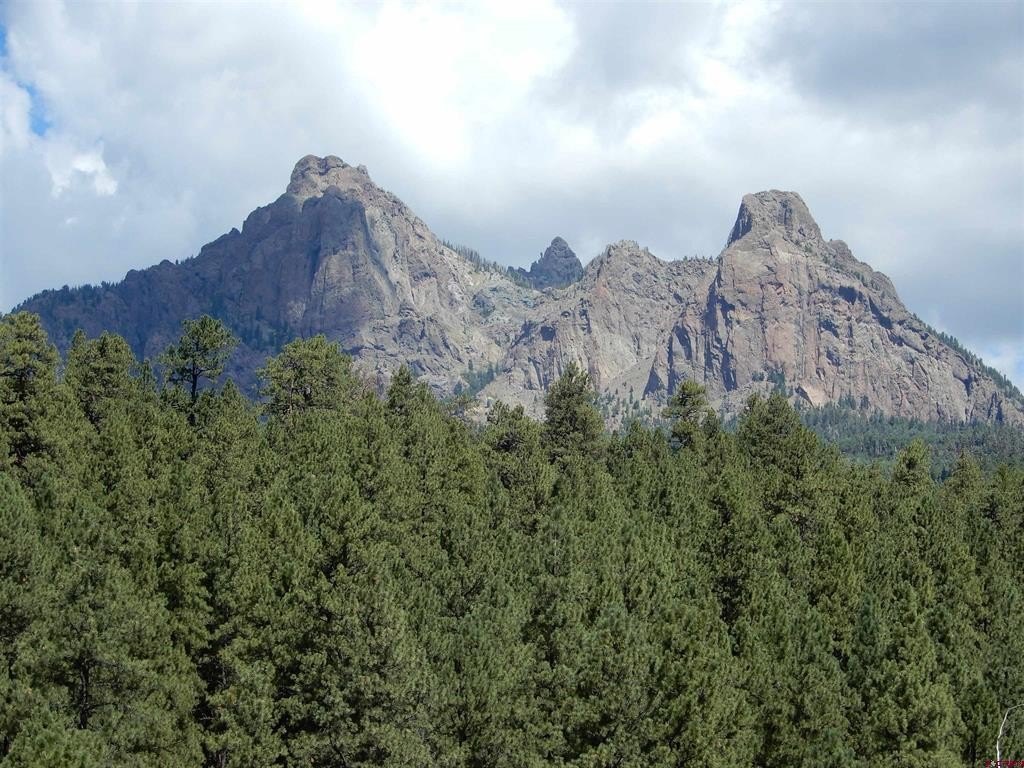 Picture 24
