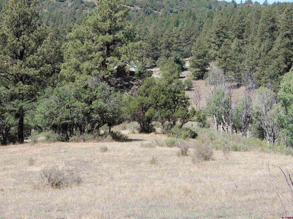 Picture 30