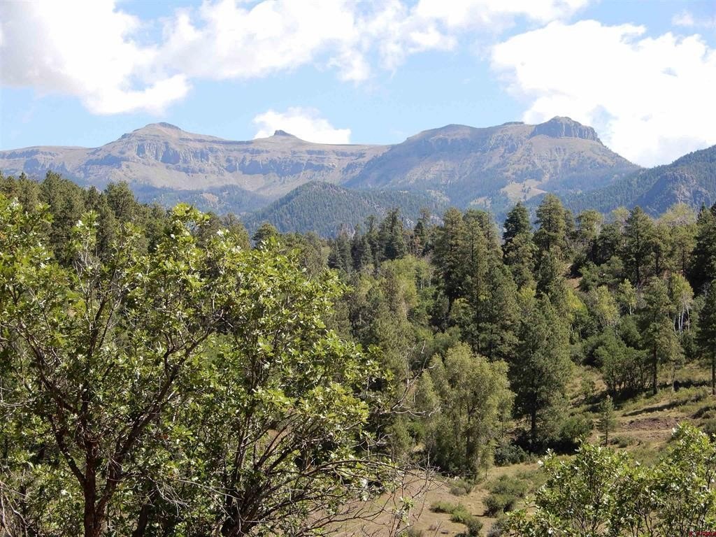 Pagosa Springs Land For Sale