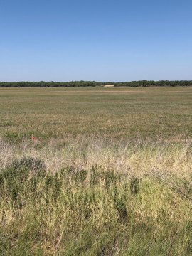 Texas Country Home Lot Opportunity