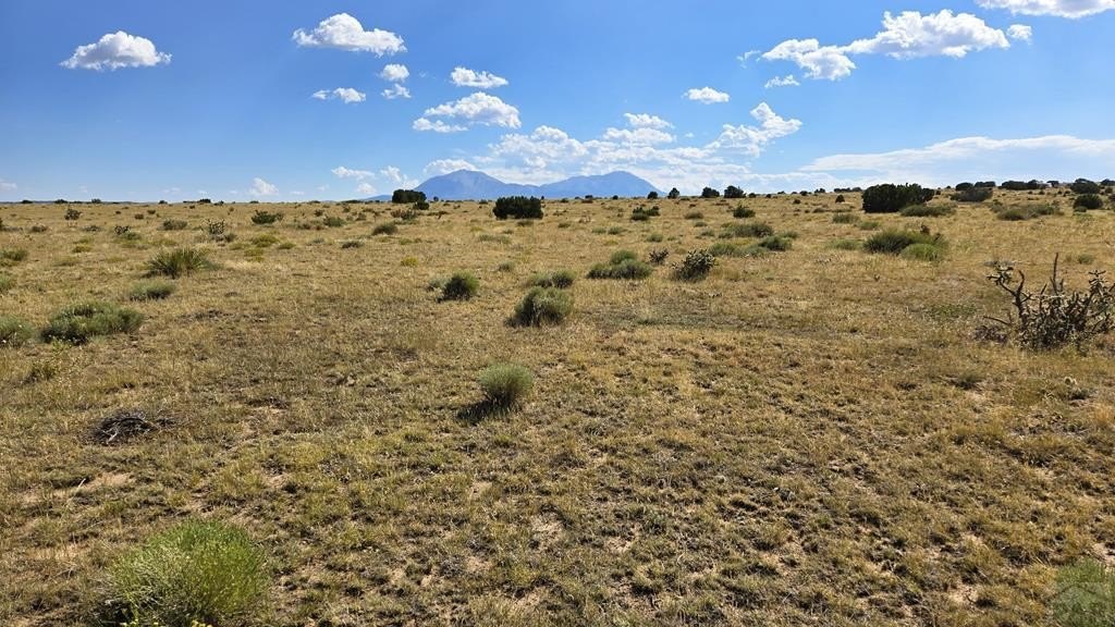 Land with Mountain Views