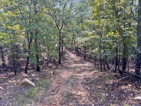 Wooded Hunting Recreation Land