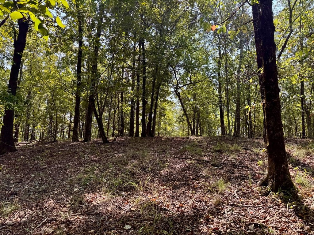 Picture 19