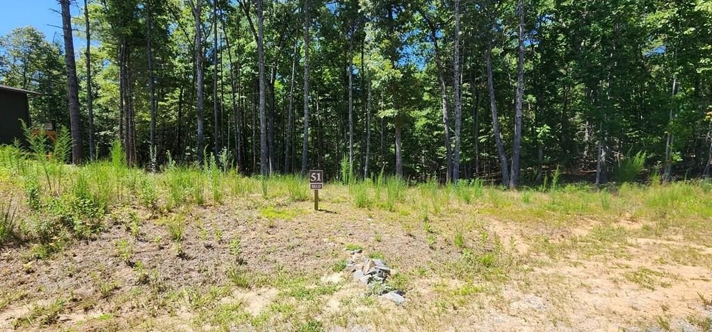 Vacant Lot in Blue Ridge