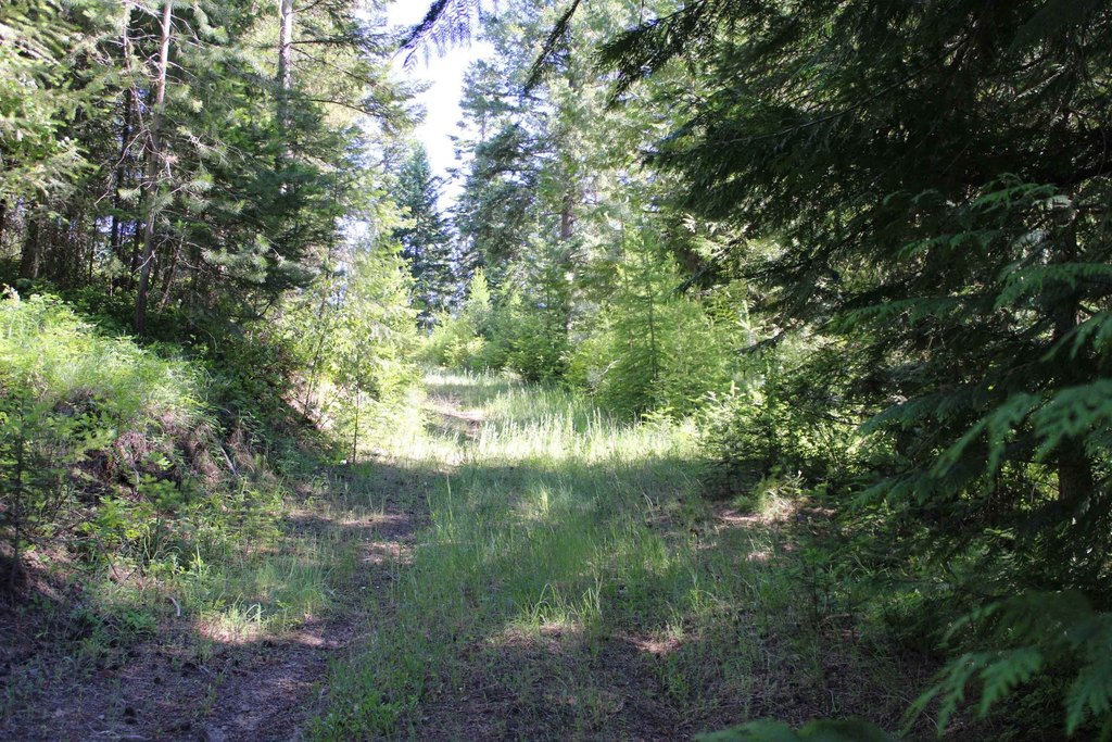 Picture 3