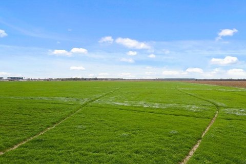 Cleared Agricultural Acreage