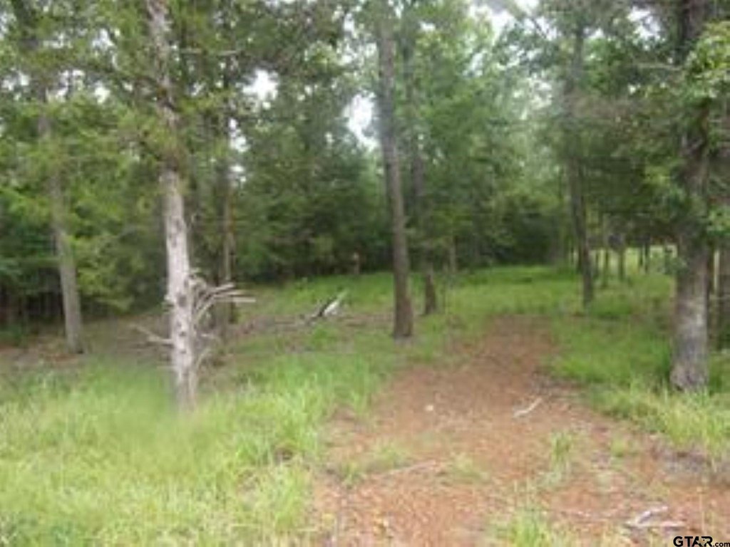 Picture 4