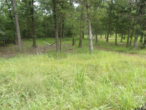 Land, Murchison, TX