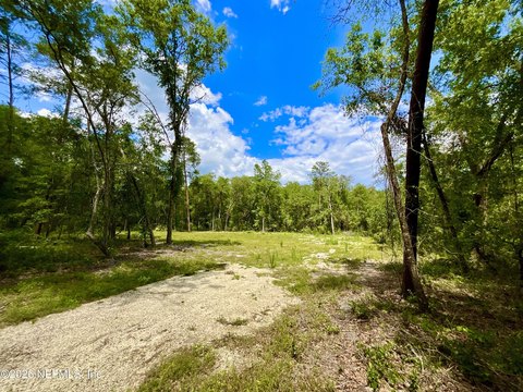 LAND - Hawthorne, FL