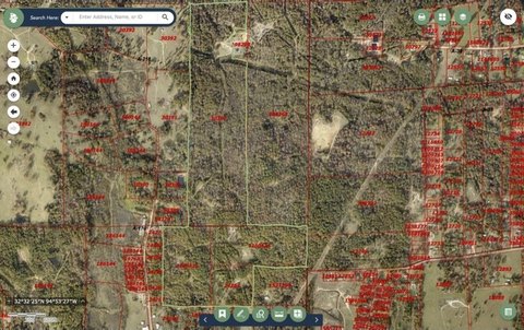 Timberland Development Tract with Creek