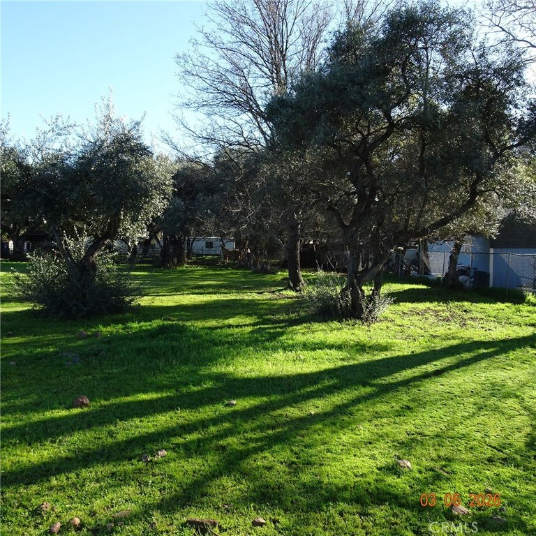 Picture 5