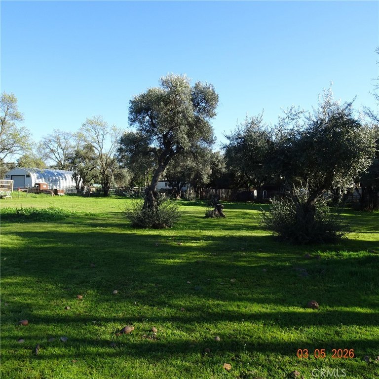 Picture 4
