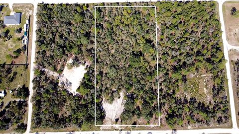 5-Acre Lot in Morriston, FL