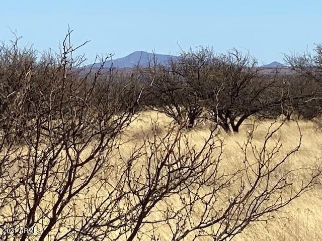 Hereford, AZ Land Parcel