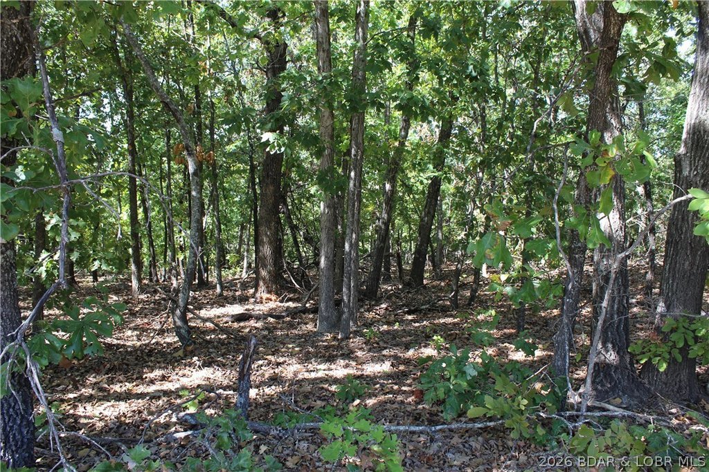 Picture 6