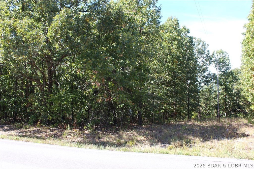 Picture 21
