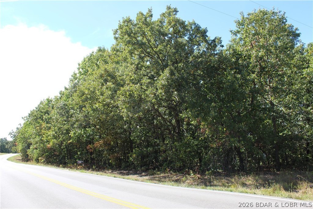 Picture 20