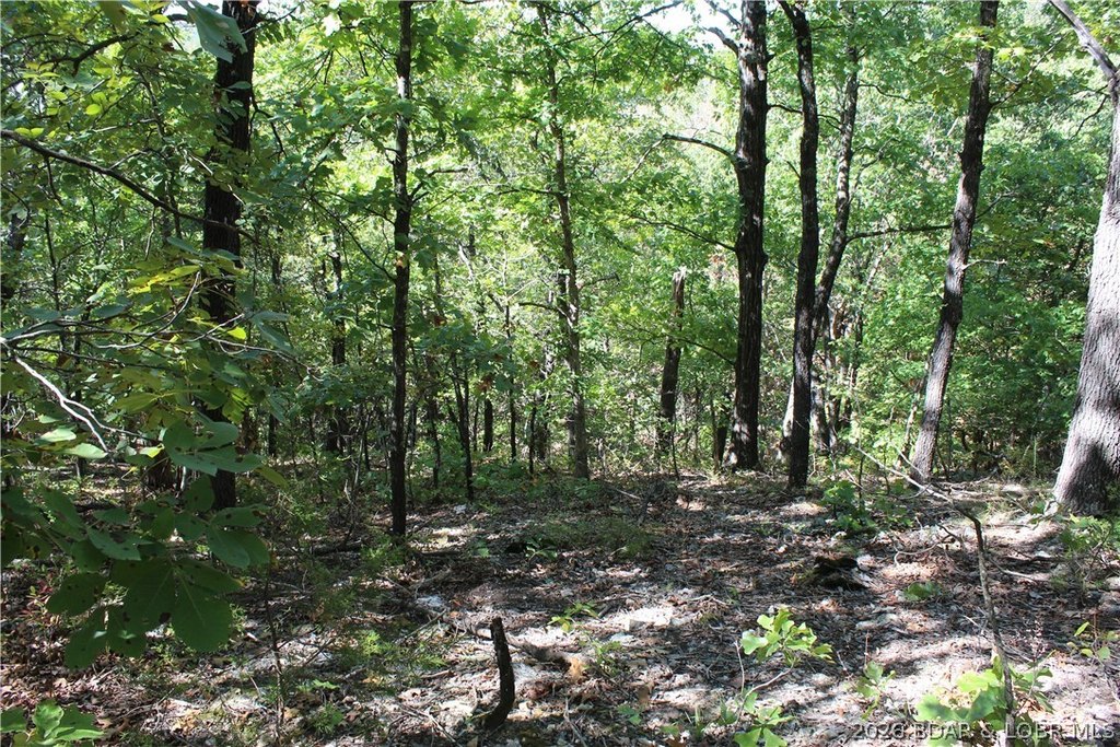 Picture 15