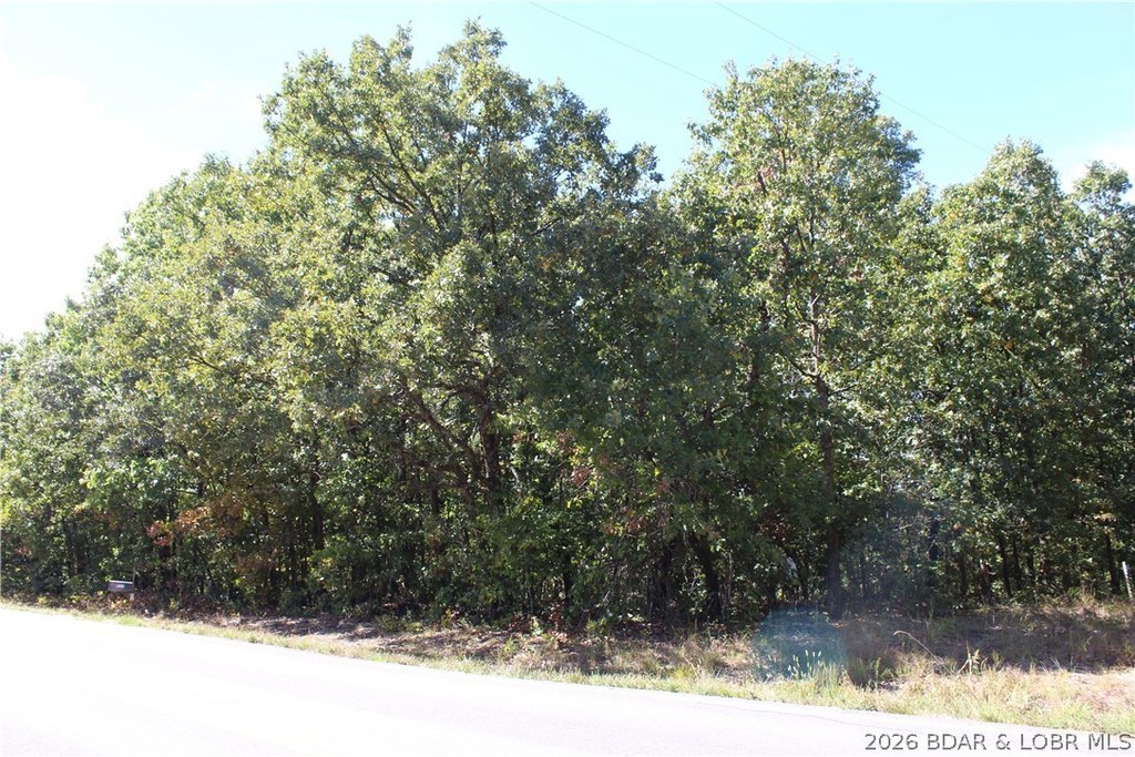 Picture 19