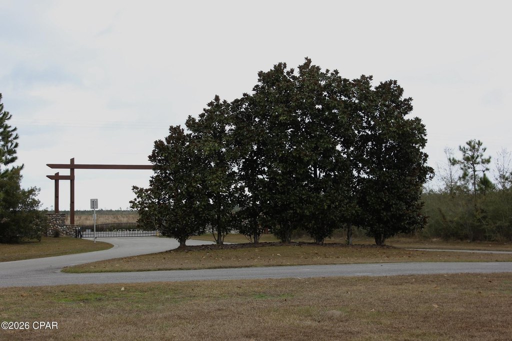 Picture 8