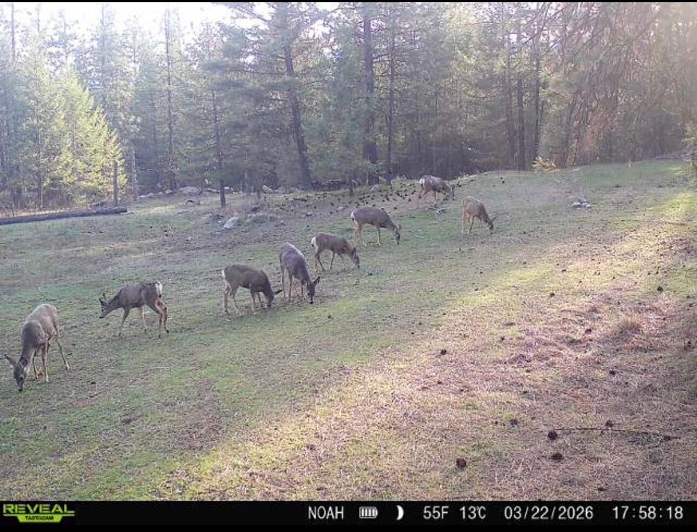 Picture 5