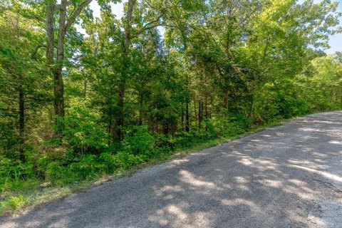 LAND - Cherokee Village, AR