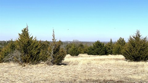 18.77 Acres of Unimproved Land