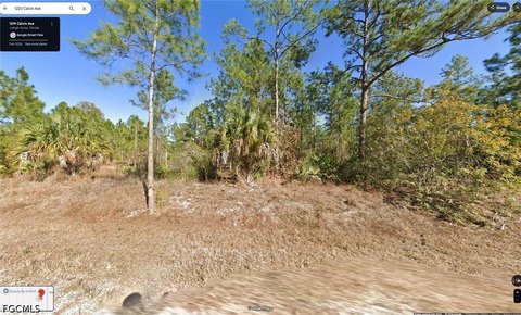 LAND - Lehigh Acres, FL