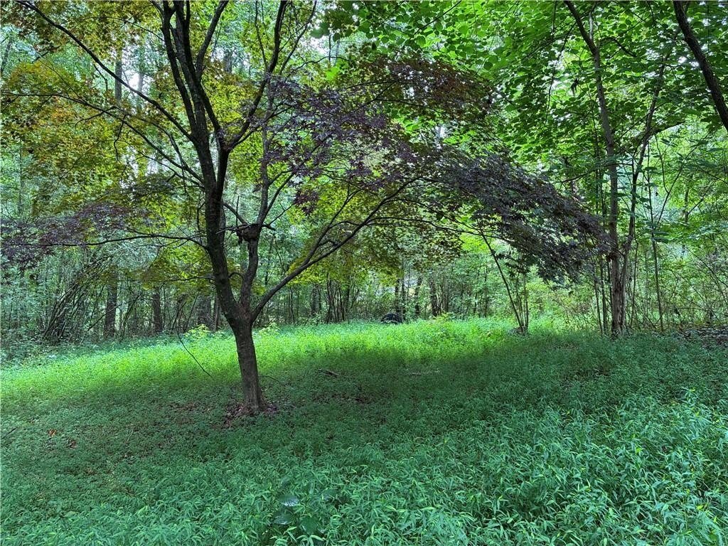 Picture 4