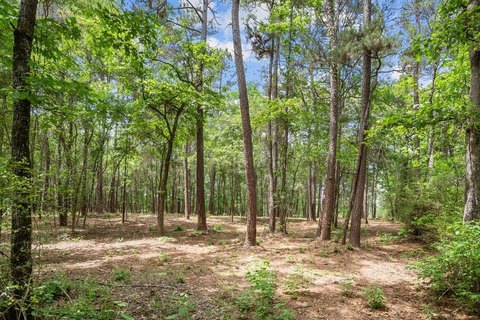 Residential Land in Growing Area