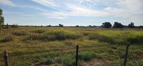 Bermuda Grass Land
