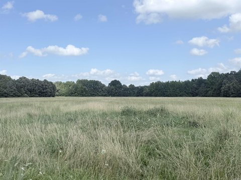 Paragould Pasture Land For Sale