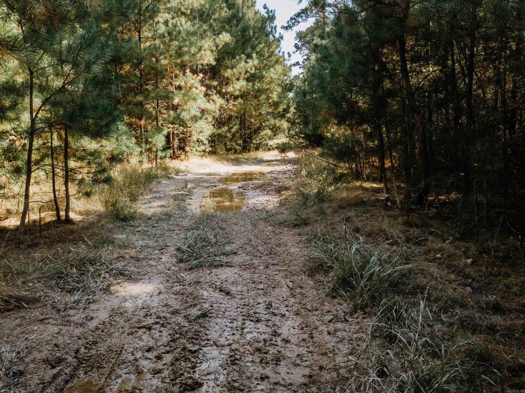 Picture 22