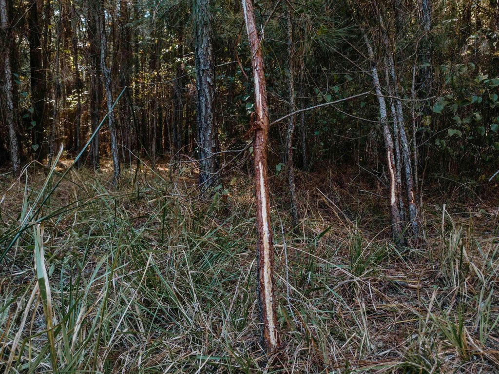 Picture 10