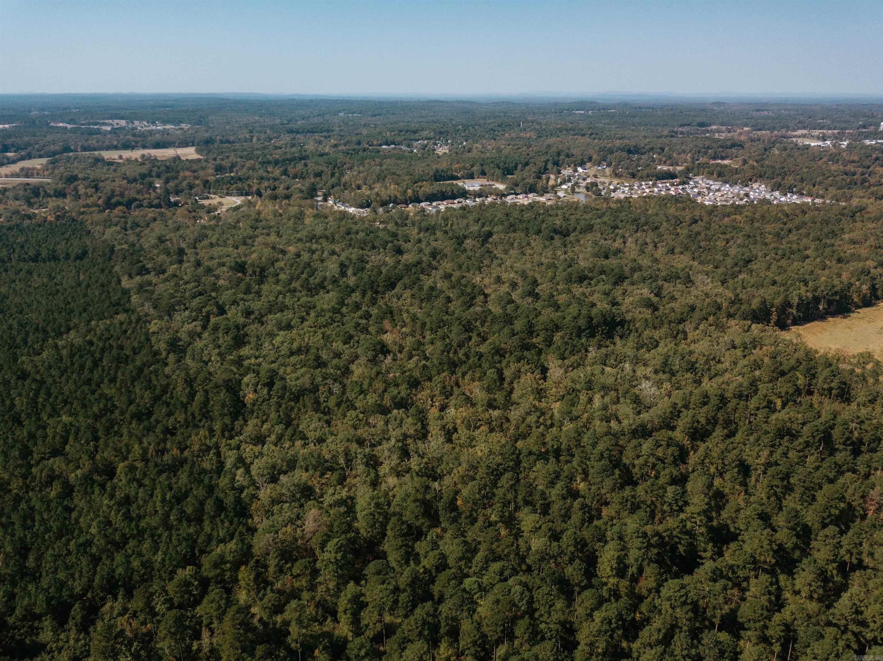 Haskell Timberland Investment Opportunity