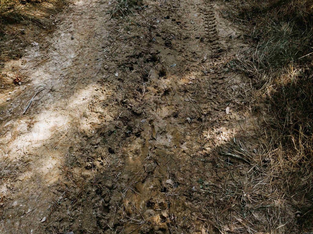 Picture 23