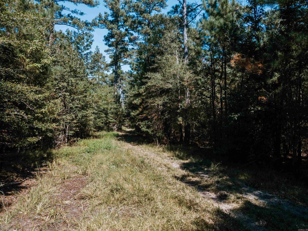 Picture 15