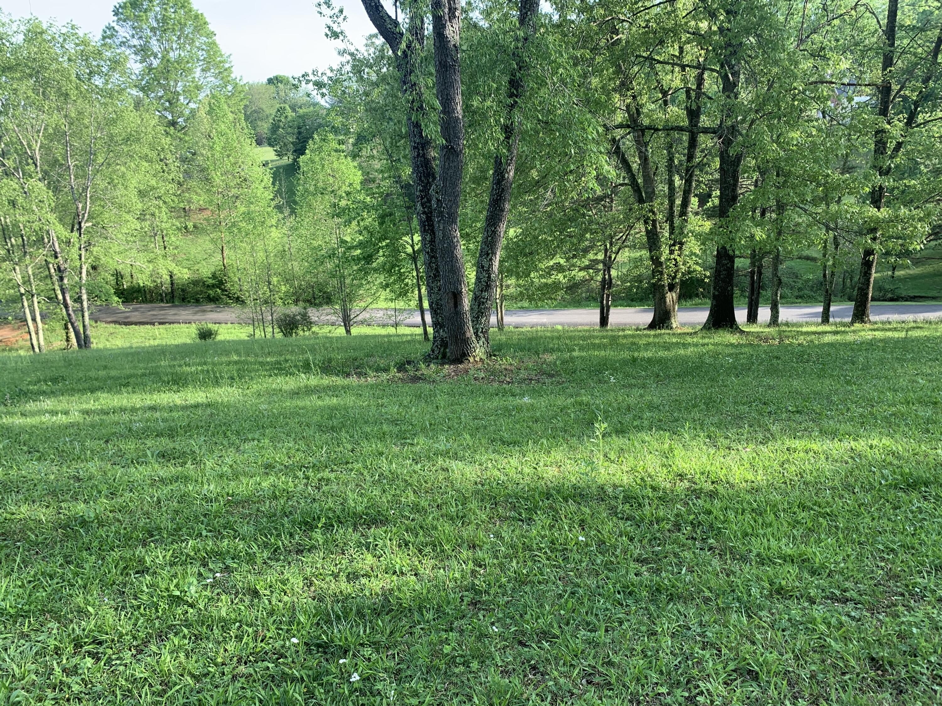 Residential Lot in Cherry Grove