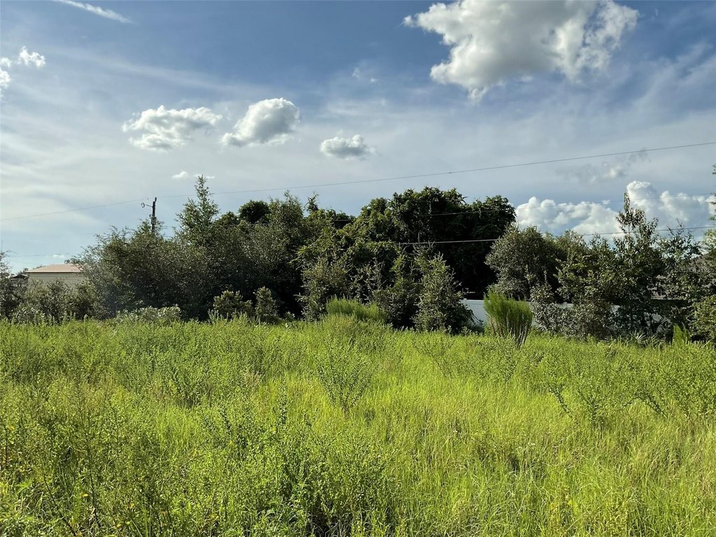 Picture 8