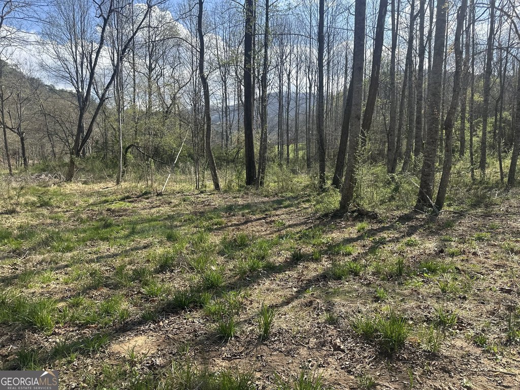 Picture 18