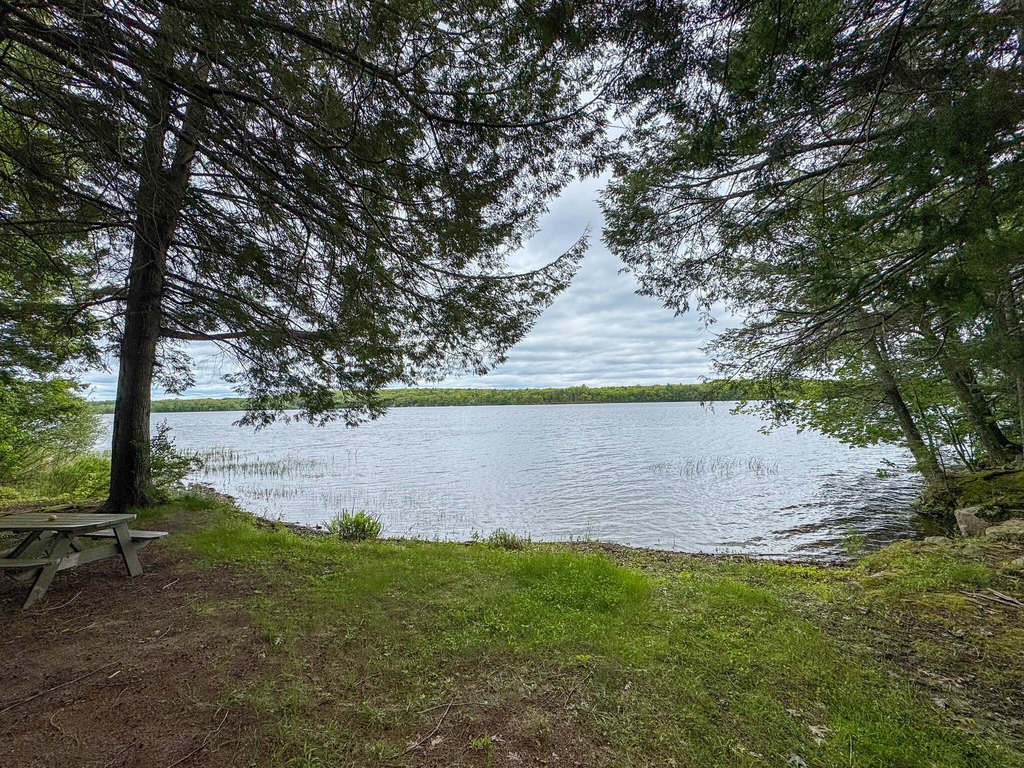 Picture 2