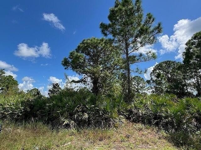 Residential Lot in Growing Area