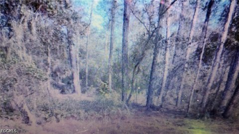 Land, Satsuma, FL