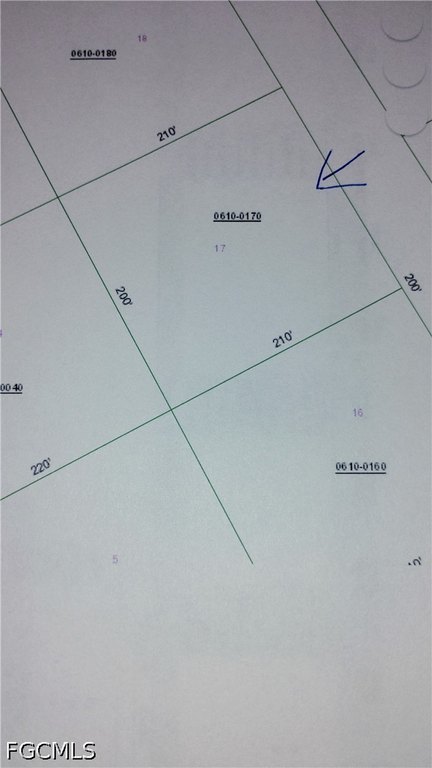 Picture 3
