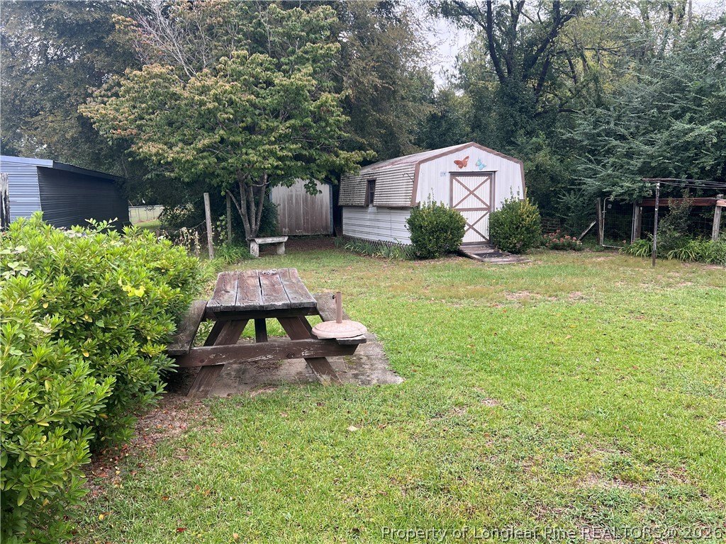 Picture 4