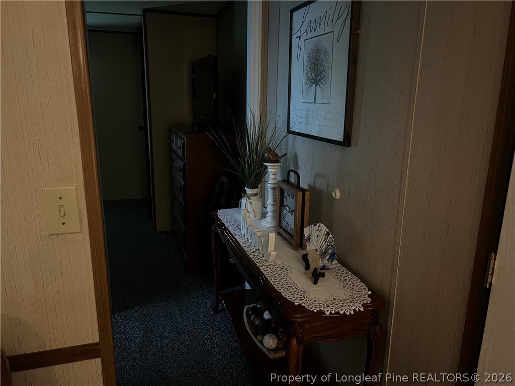 Picture 28