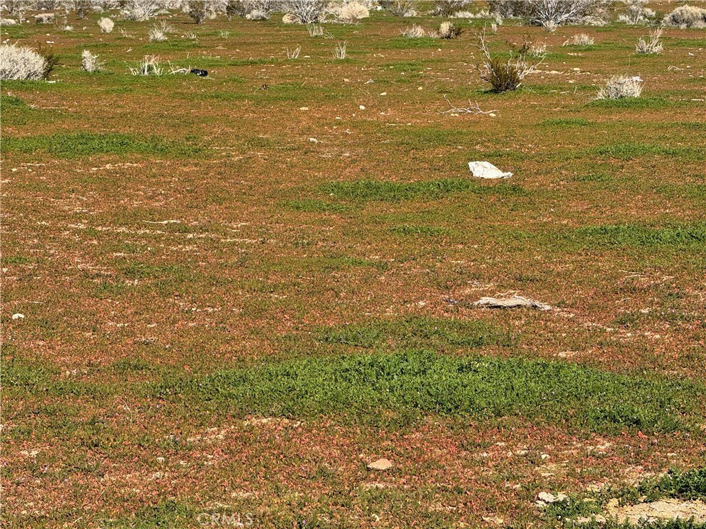 Morongo Valley Residential Land For Sale